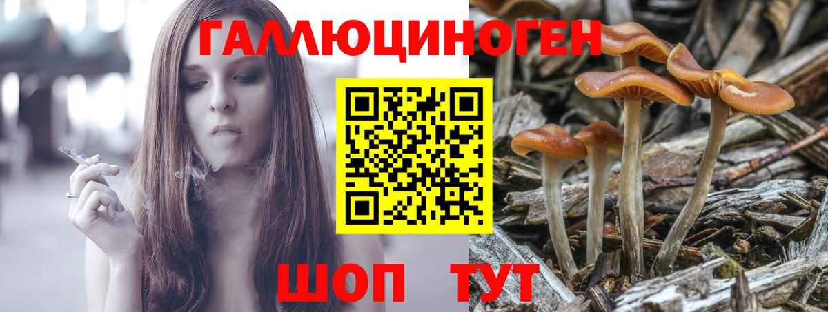 Псилоцибиновые грибы мухоморы Кувандык