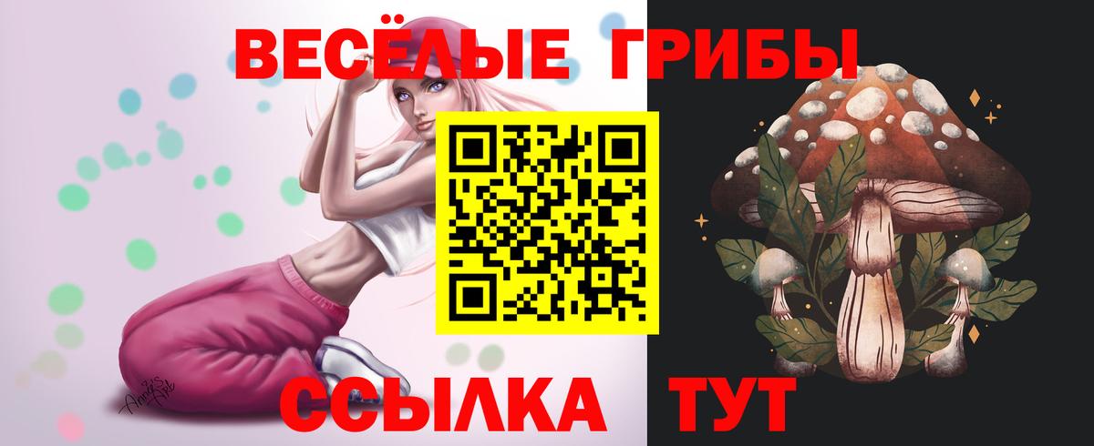 Галлюциногенные грибы Magic Shrooms  Вход с VPN  Галлюциногенные грибы Cubensis  Кувандык 